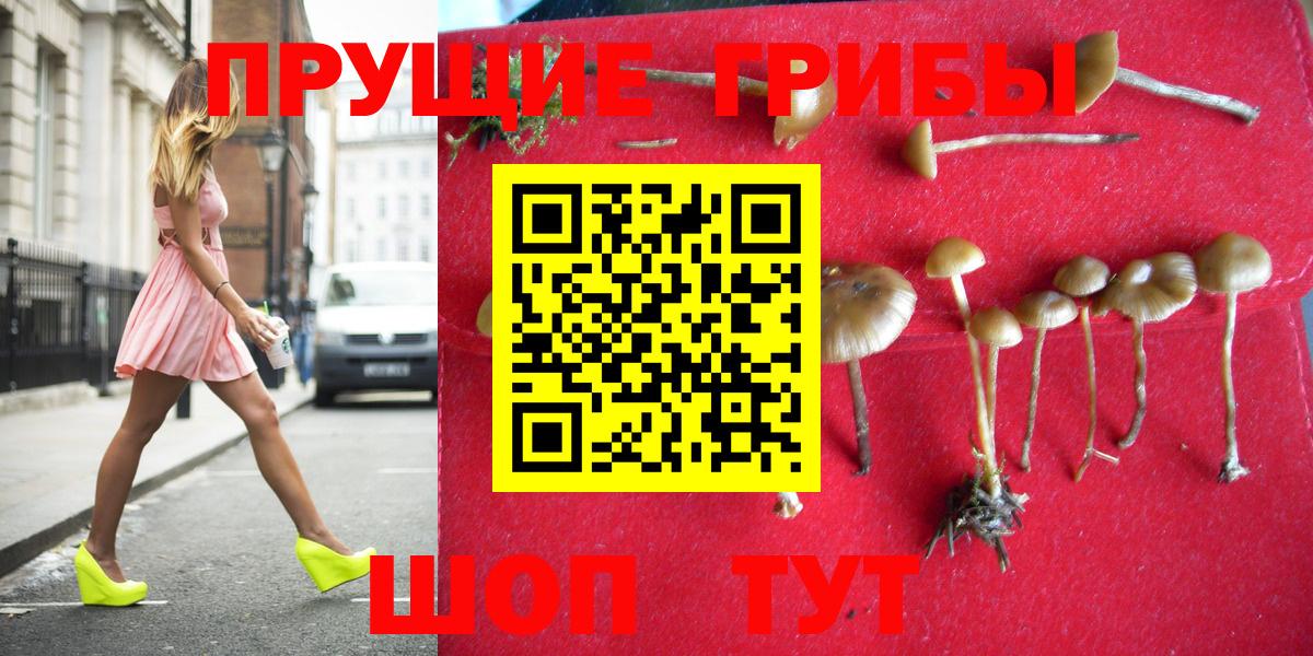 Псилоцибиновые грибы MAGIC MUSHROOMS  Вход с VPN  Саки  Галлюциногенные грибы MAGIC MUSHROOMS 